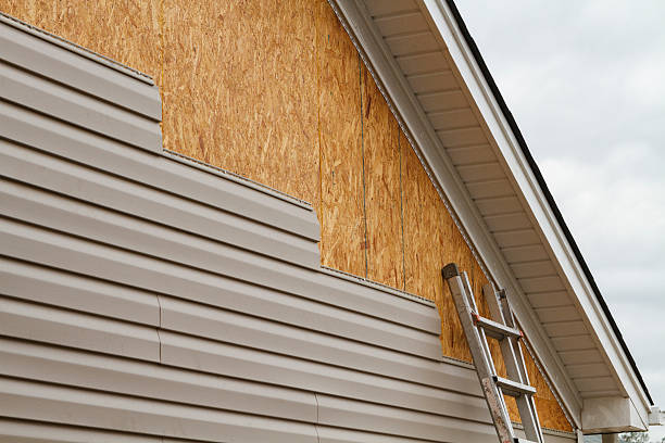 Professional Siding technician working in Spring City, TN